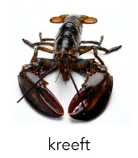 kreeft1