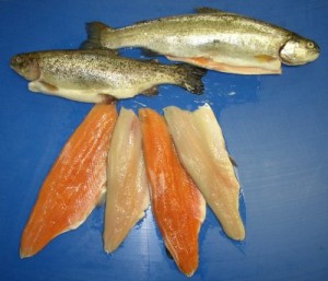 forel2